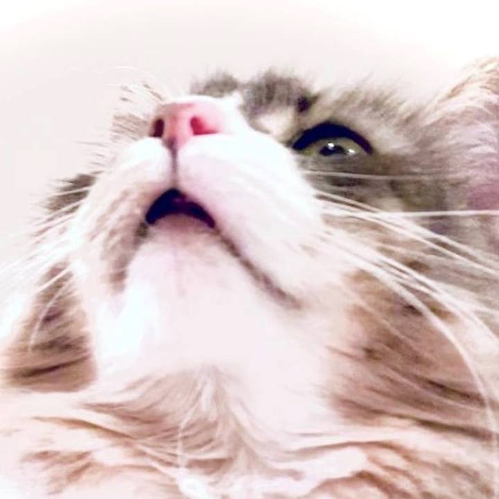 18ef3b49 15db 4a2b 92b7 7afa5db8daf9 1633712857934