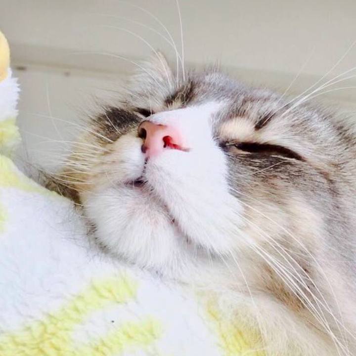 18ef4bef 0b44 4a71 b810 e0673a1d6a49 1574913470601