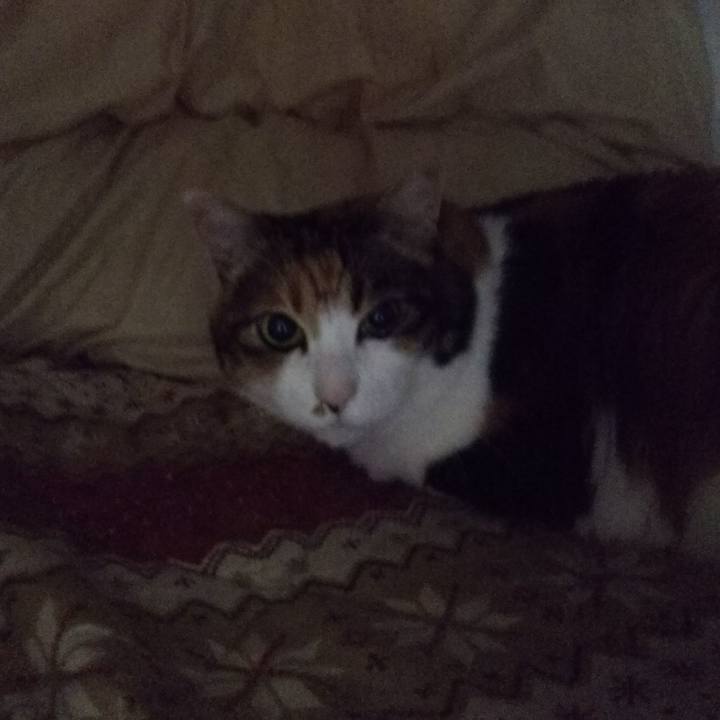 18ef4eb8 eaf1 4c9f a44a 304f4fa9ee60 1546984118171