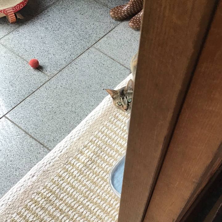 18efad89 d2d3 411a a09a fd8cea255f38 1595313247799