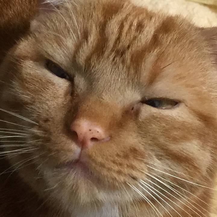 18efdd11 6f6c 4c33 bd61 50a2cd7417ed 1553300950437