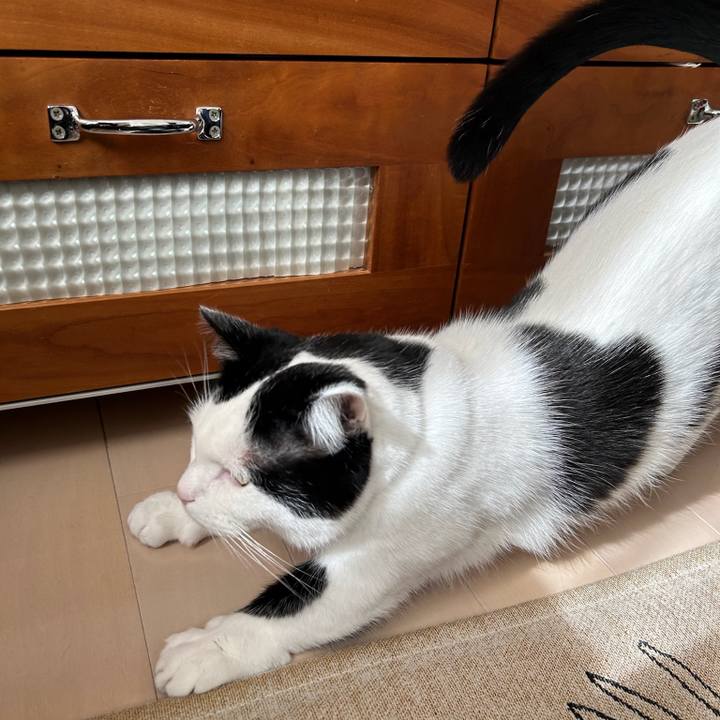 18efddb6 7bc2 4262 bb52 4e6e0d825b8e 1773270949537