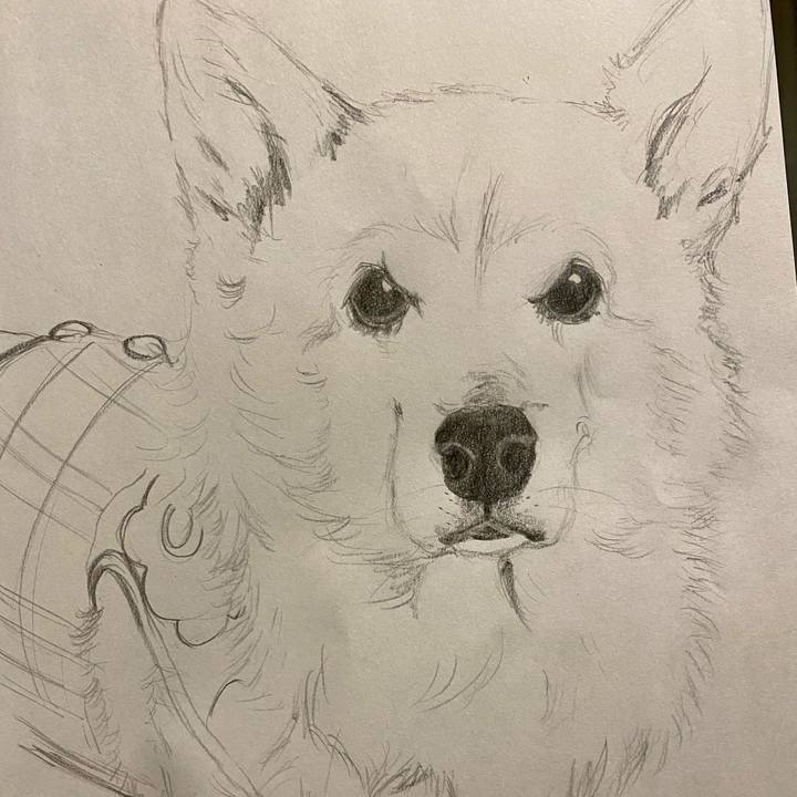 18efe886 38bb 44e3 bd67 5852ca7711d5 1608853879480