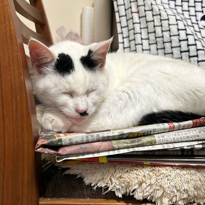 18f014c6 010d 48f7 bb2b bf0d6041b171 1730036956790