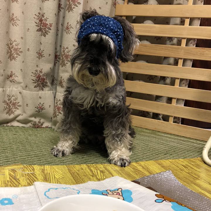 18f02de4 3d1d 4e7d 96c9 0273b3e7d64e 1530957262935