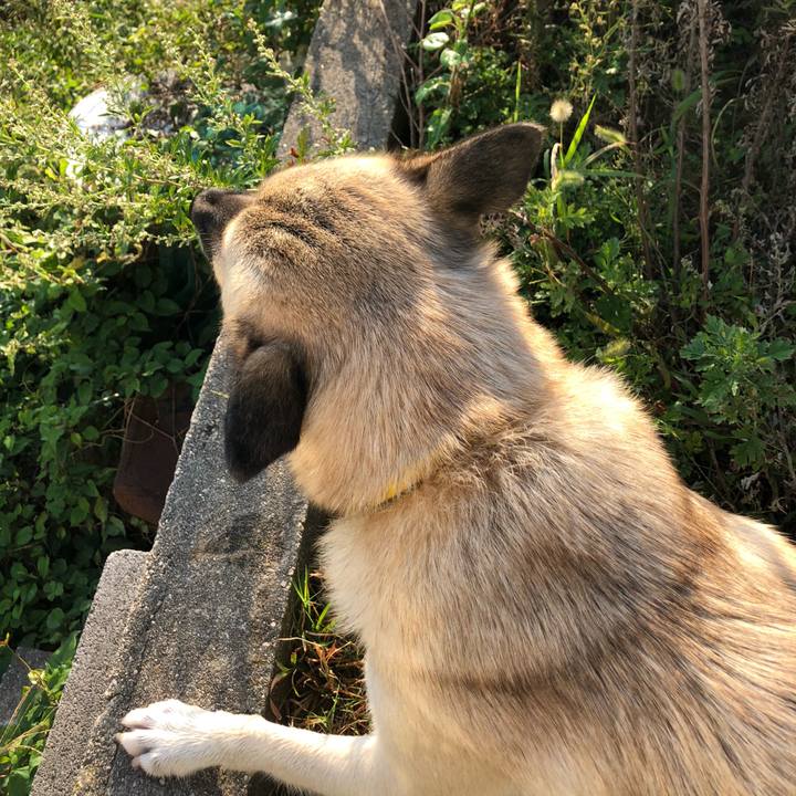 18f0323b 7913 44aa 8cc1 ad50f14205ad 1570623190344