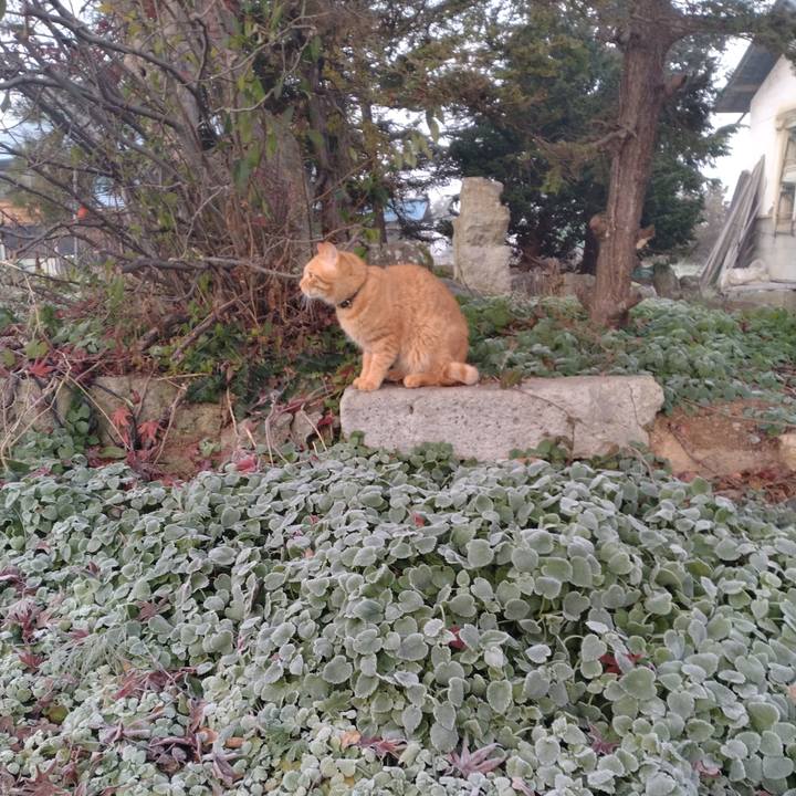 18f03859 cd9c 411d 9ce7 50c5854a991c 1668724035902