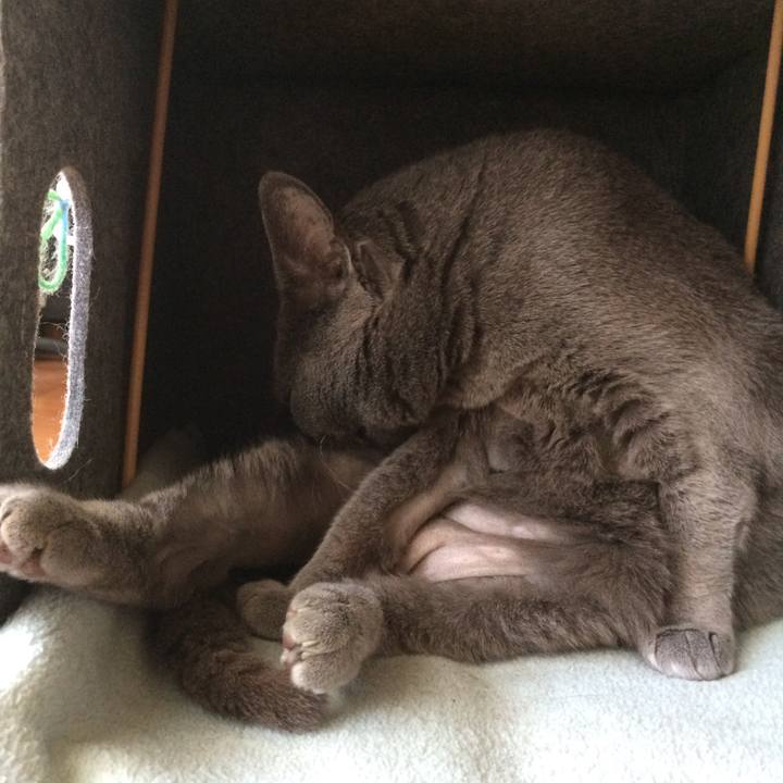 18f047e5 1fa9 42f5 bab1 20fd3952e73b 1522881216908