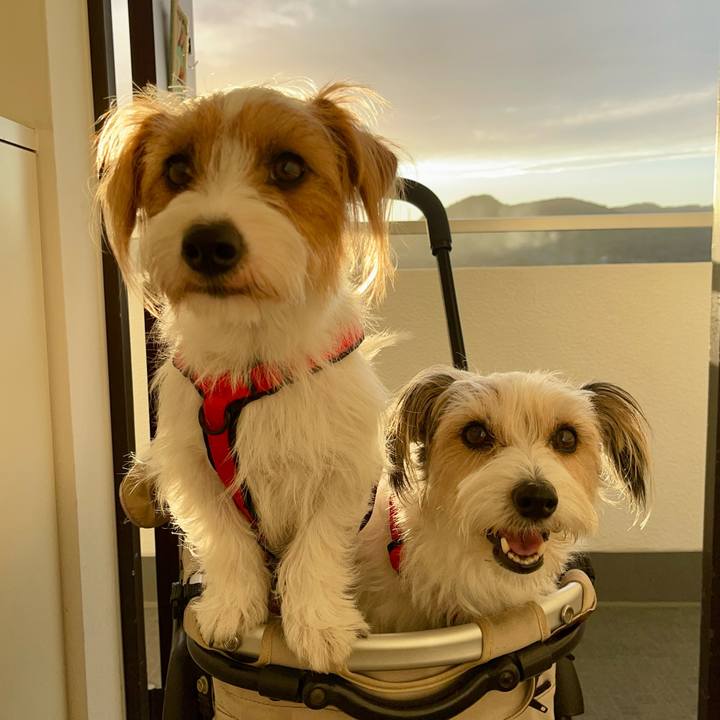 18f04a60 09ab 411a b1bf 7f1c36563ba3 1762004426675