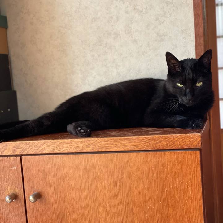 18f06304 133f 4c0e bc51 a63377b11371 1622513534373