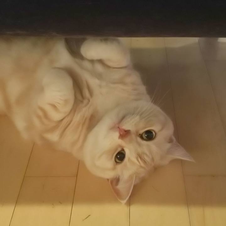 18f071c0 05a7 4a2f b74a dc2aebf74d55 1589967211659