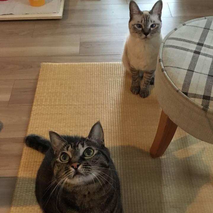 18f0a4f0 145f 4eea b15d 642327da7f38 1569309857280