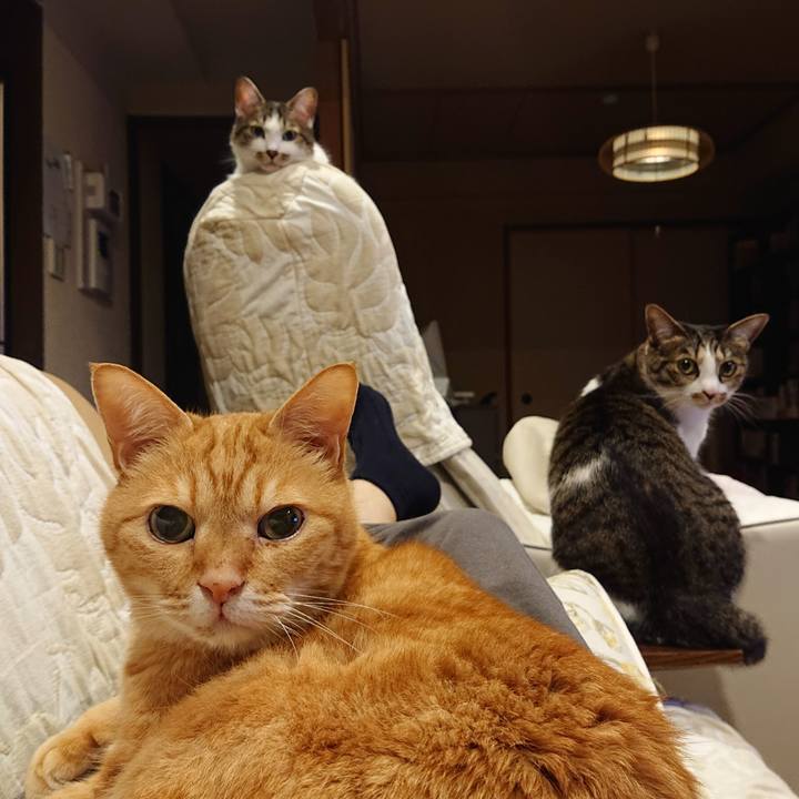 18f129f4 4daa 4c82 8562 69a231ae905c 1651061415724