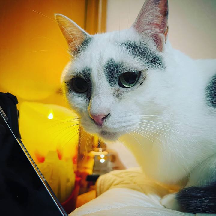 18f13939 b4ef 4a75 827f 27ec43c4f55f 1661086333798