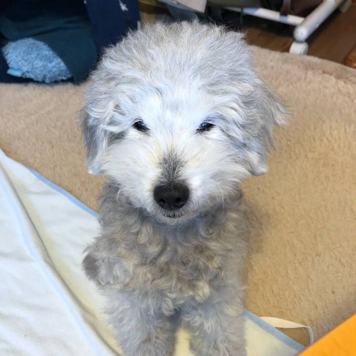 18f13a78 2640 4593 8383 f158ecd96013 1614557138196