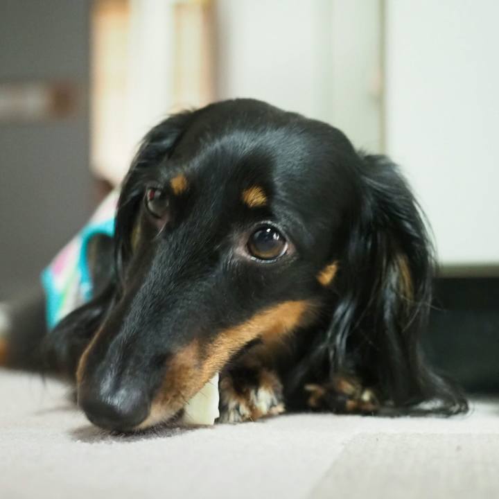 18f17d91 b416 4caf a786 0a423a9f1e23 1566564547715