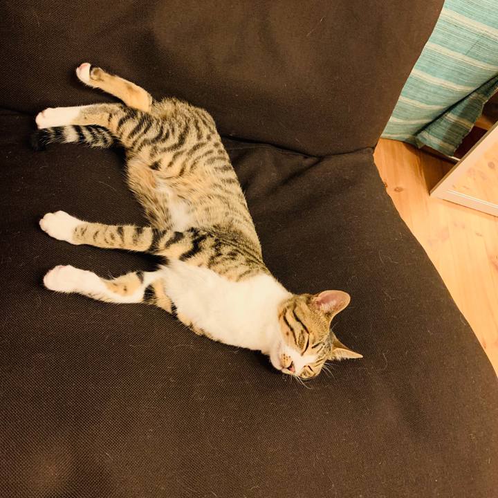 18f19764 f070 496f add1 911e576e2f9f 1588417554347