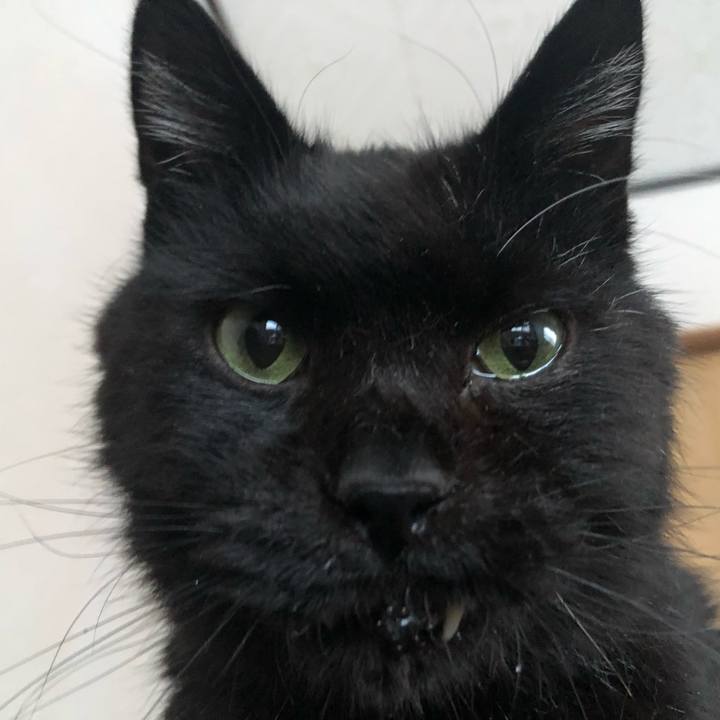 18f1ce48 0915 424a ada0 0eaf3698c20c 1644652561655