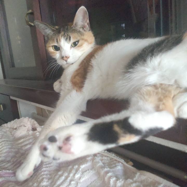 18f1dc4c 1e88 4a4b 8d7a 01e12cf8f599 1714710915108