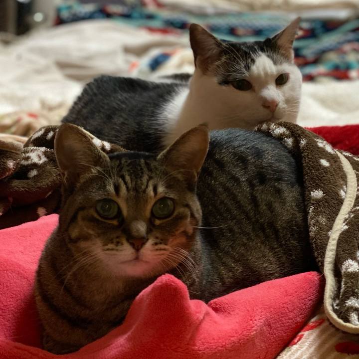 18f20665 be98 4a58 8a76 49e442b779f5 1769078618788