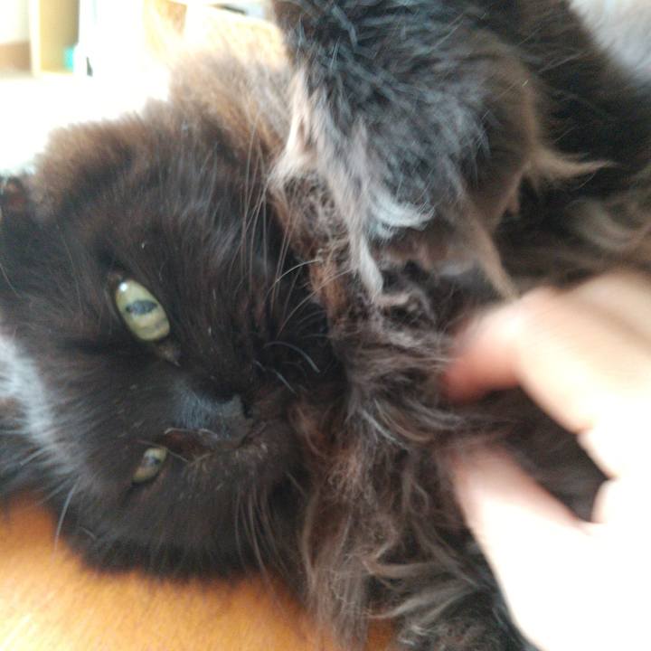 18f2207b a0dd 4e79 aa5a e49704cacd9b 1639873464076