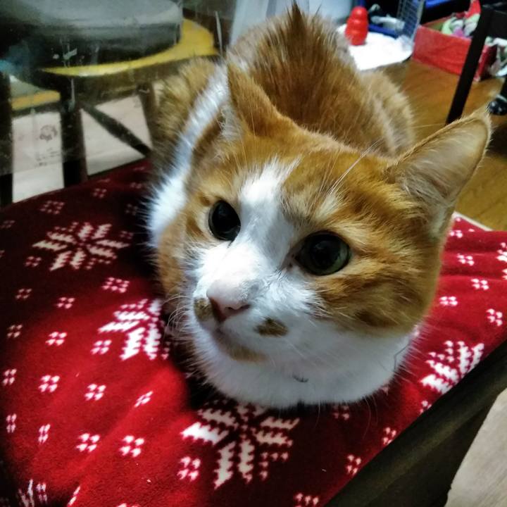 18f224f1 974b 4cb0 8e60 28bee57a3fd3 1575493671552