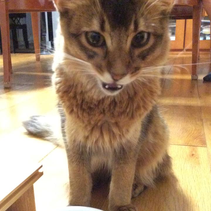 18f24894 adf7 4a49 a7bc af9bef511f81 1567166994590