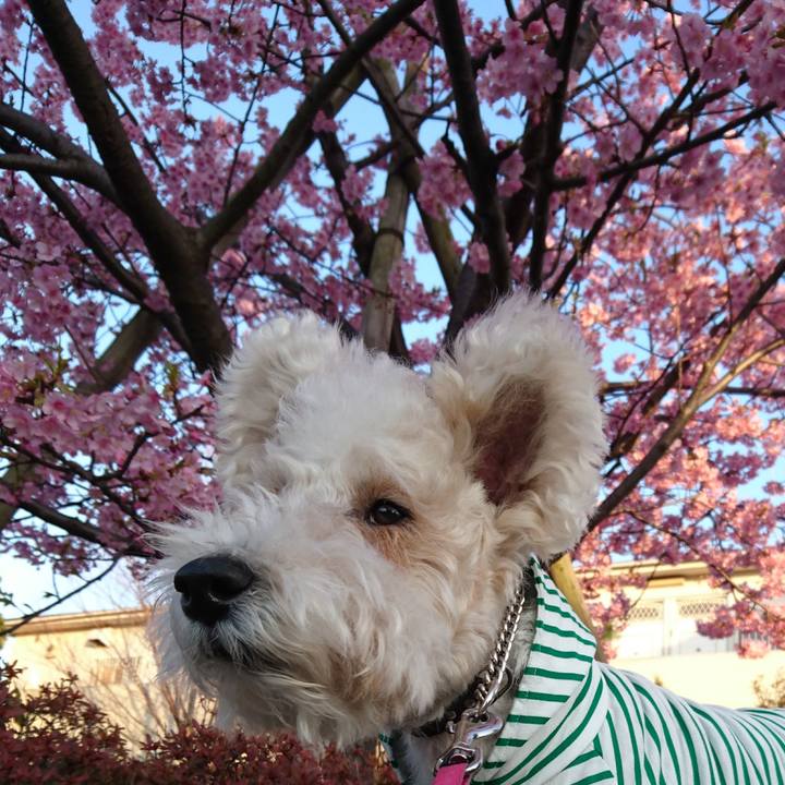 18f25d1b 3345 4692 928e 1bf99ace97df 1520325135779