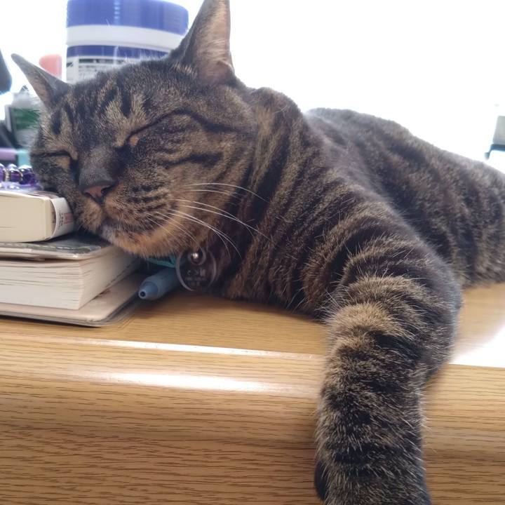 18f25d78 56e4 44e2 a350 467decdc87dd 1758412741388