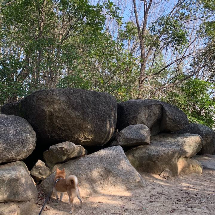 18f297ed 37a8 4850 ad67 d4e9fa27f2da 1582384776088