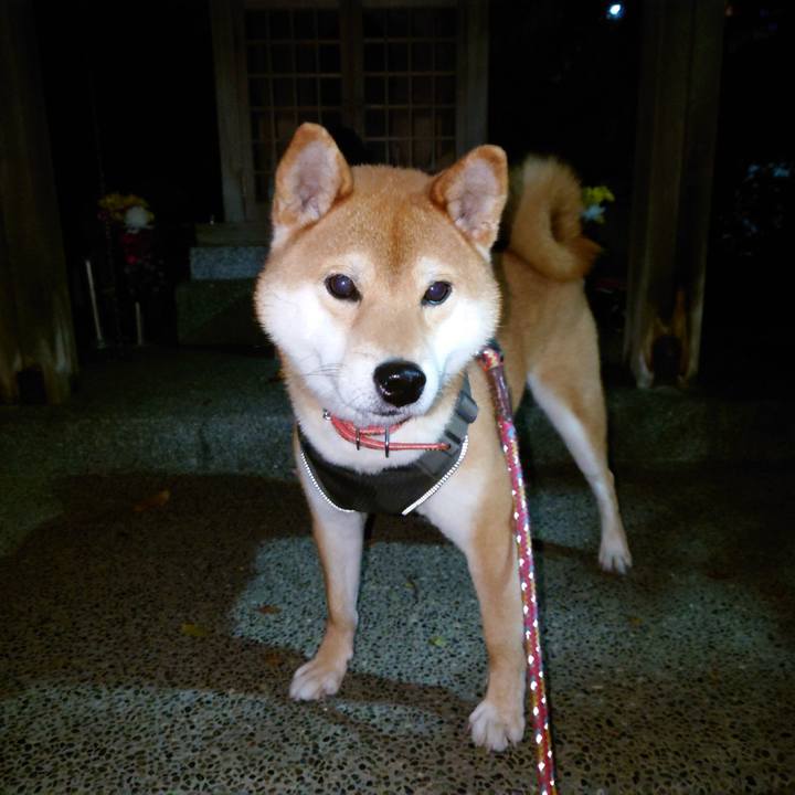 18f2a173 4af9 4a01 8061 8e46782f2dde 1764285592292