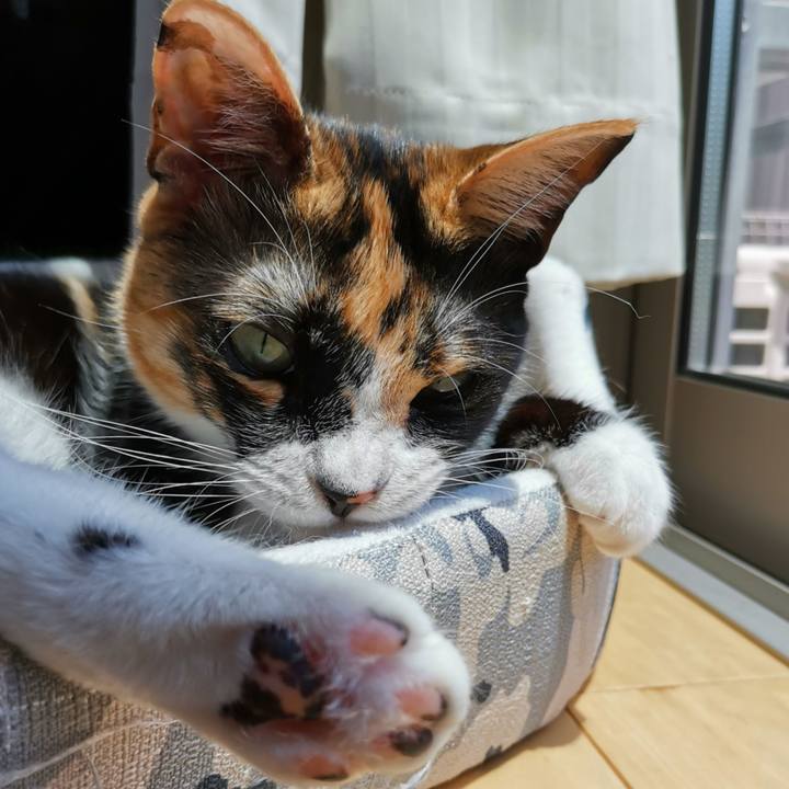 18f308c8 68a8 47ae 9374 d38cb86891e0 1622449245000