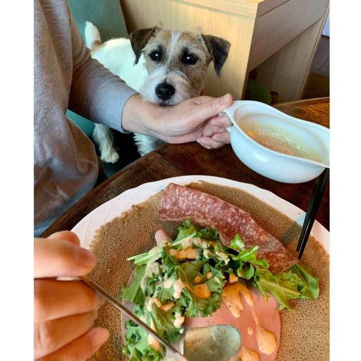 18f32d74 2aab 41f6 b89e 7bfd6ab98fcc 1604203742090