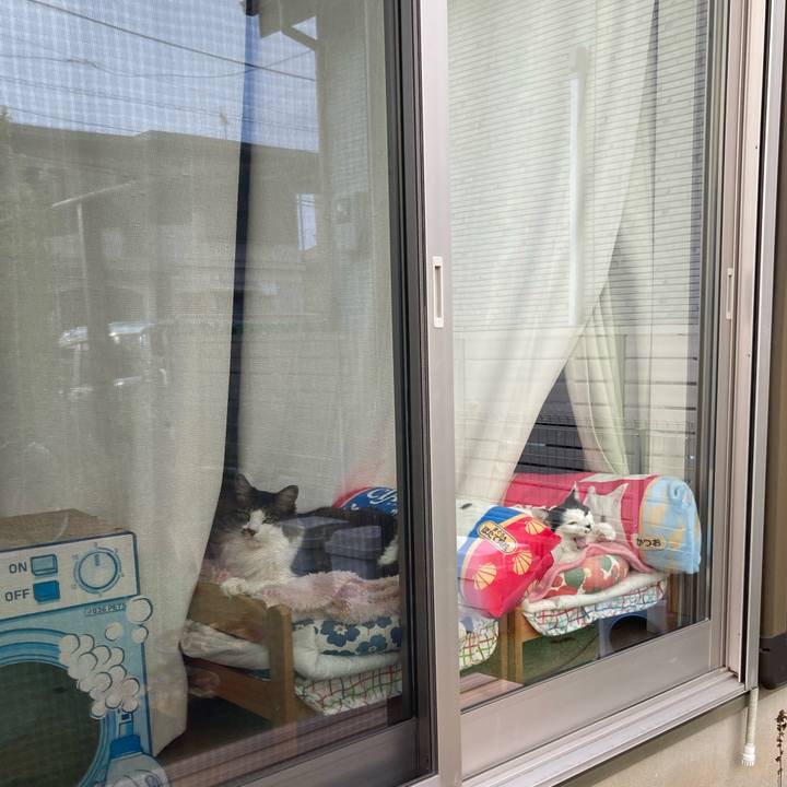 18f32e29 6a47 4b3a 8bfb 4998f5eefdf3 1762412398850