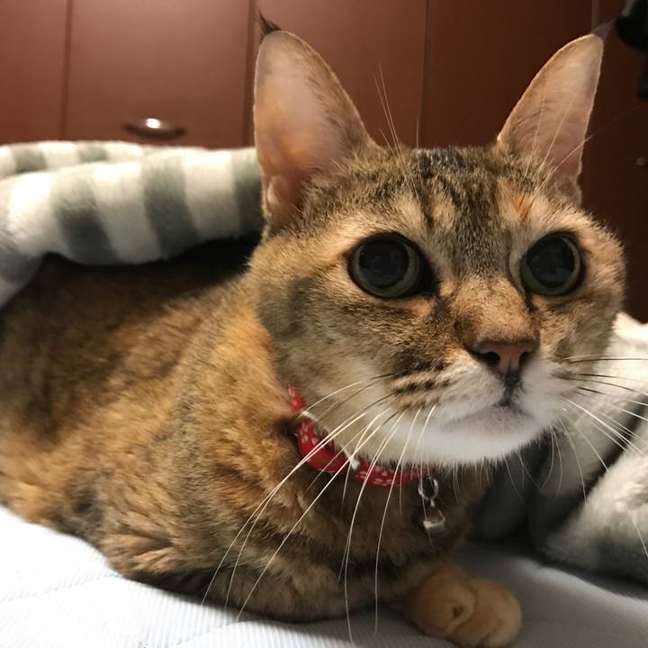 18f33cd9 ee74 4152 8637 a07d6a815f6e 1508153137067