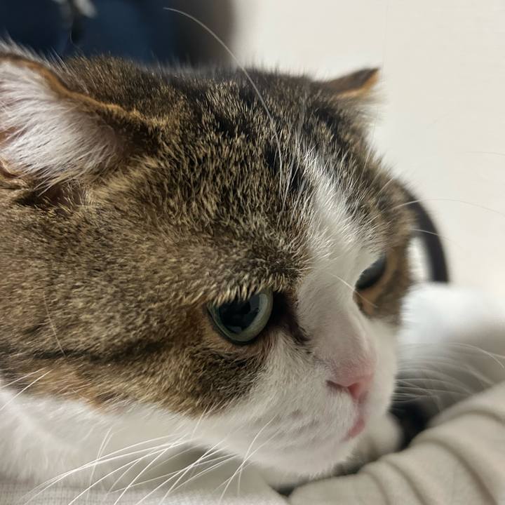 18f35ea0 355b 4e71 afb5 61174a838469 1761002521759