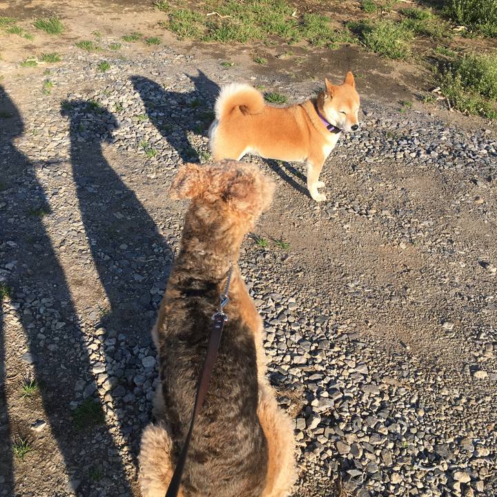 18f35f09 5c8e 4dfb bab2 1dbe188e87bd 1555443914619