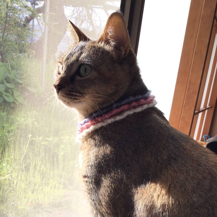 18f36568 2f94 4348 a275 8bbff24a3e8b 1618698169971