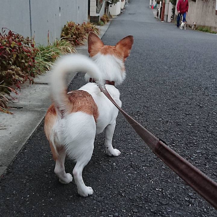 18f37922 46d1 4815 9589 cbeba2232085 1617096524798