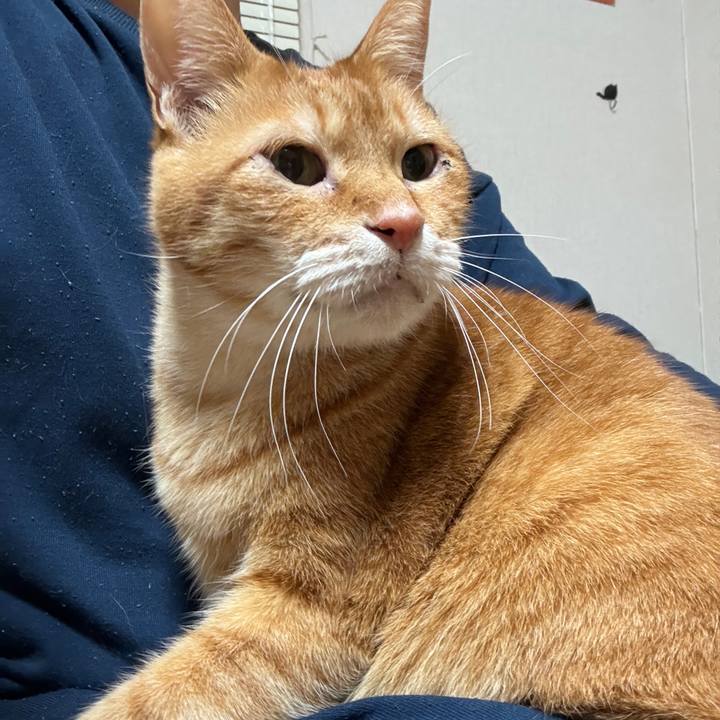 18f388da a004 4a73 add2 4fddb785bd94 1764150188382