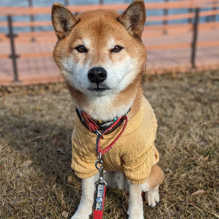 18f3901a badb 427f 8844 42f6de931a68 1704641229233