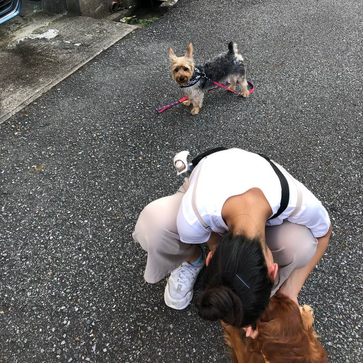 18f3c405 4450 4143 8d04 c9bf317b8d2f 1630296926375