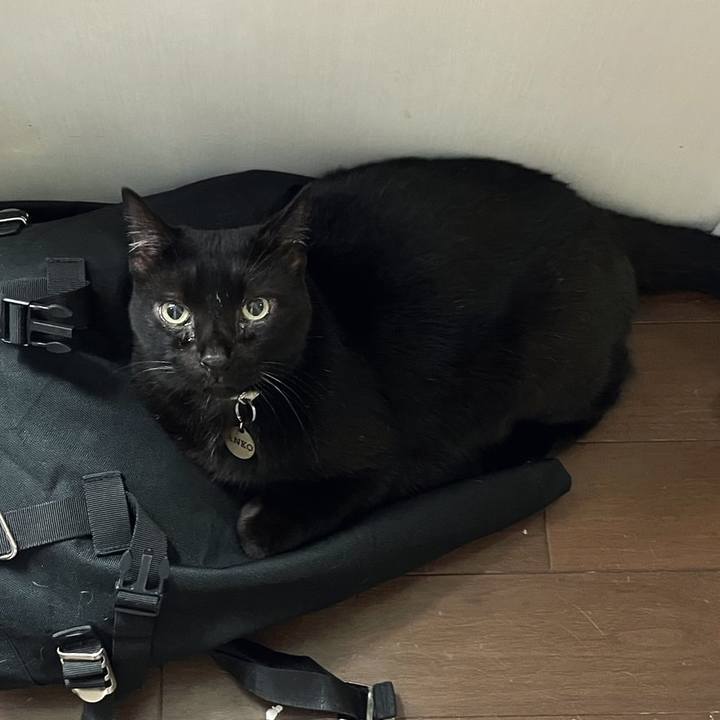 18f3cd73 30ff 4442 b9c6 5254f7f18a21 1729487184858