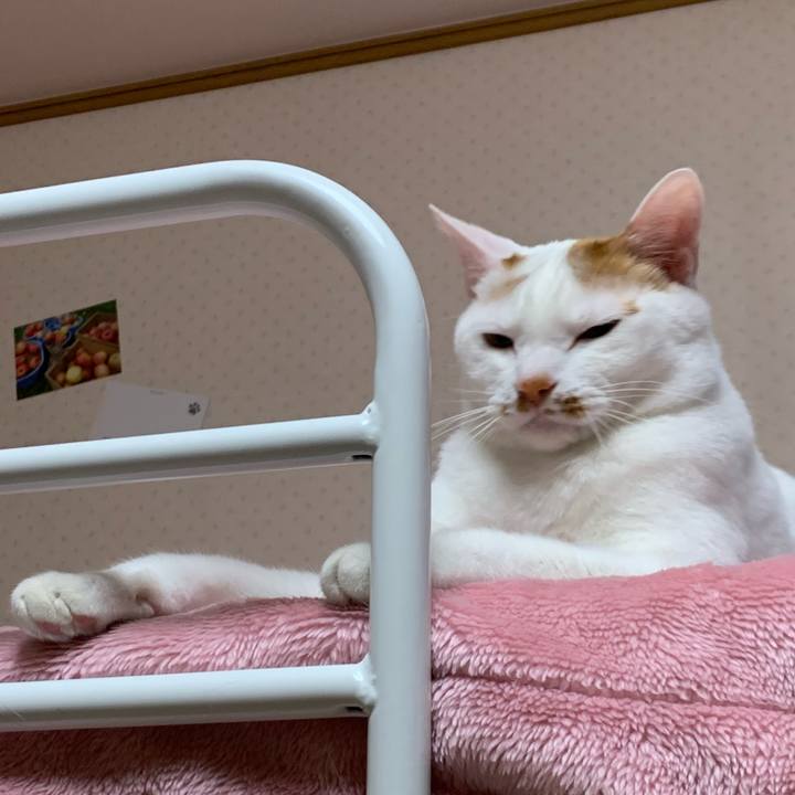 18f3f693 8445 446c a90a b6aca1d68570 1586577313862