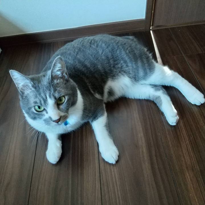 18f3f845 c6da 4705 bc62 ed537fe7b829 1614379427278