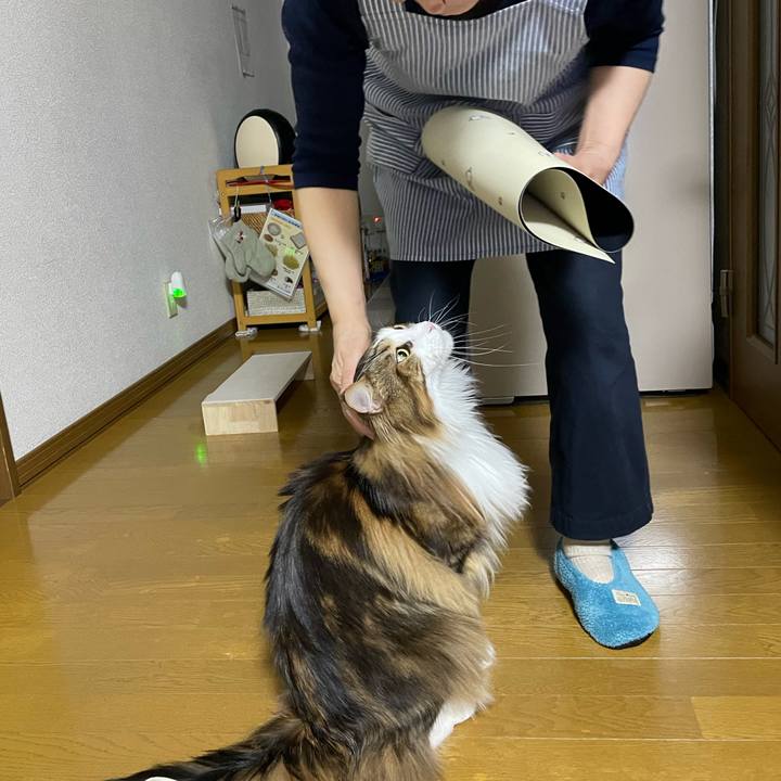 18f40097 96fb 4792 ae9e 0de1a6557fc7 1678620146680