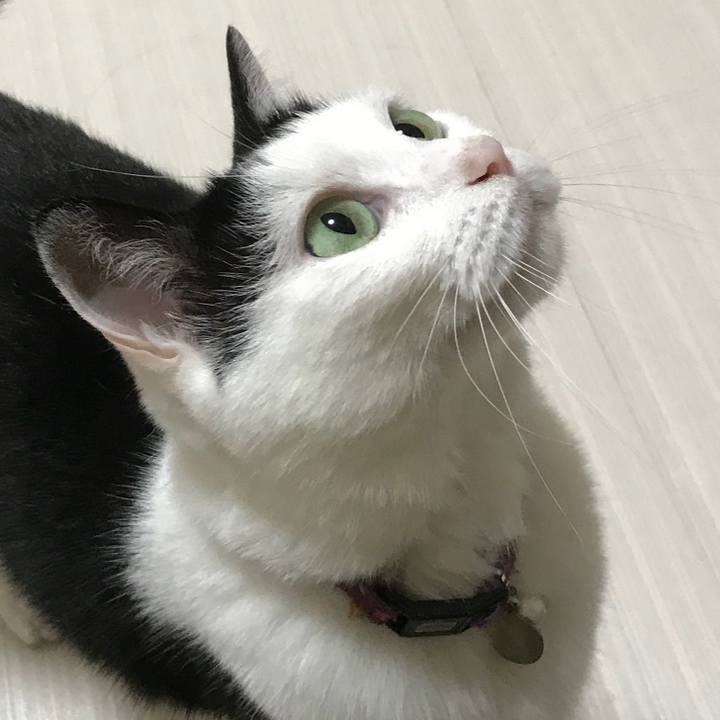 18f40484 53e8 4a32 bc08 a2ed606fafd7 1528201709825