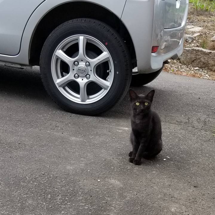 18f41f94 b5e9 4c17 a653 80abd1273fd1 1565963579153