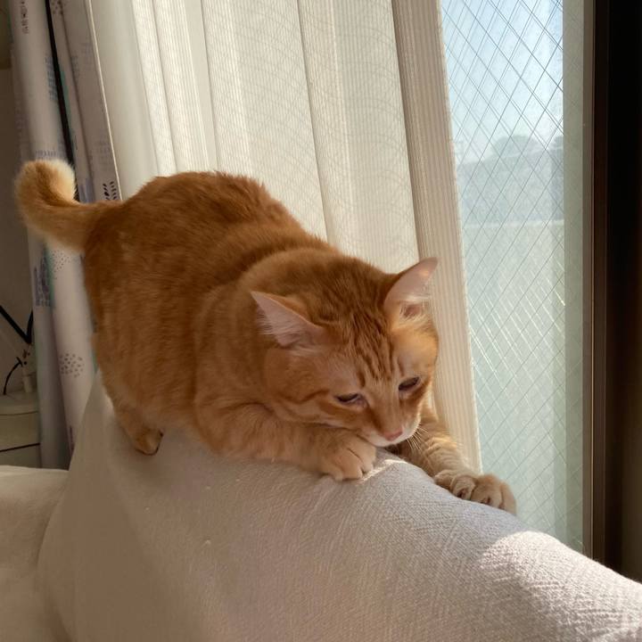 18f46973 16a6 4c1b 9d36 c0d0024dd6eb 1771803913308