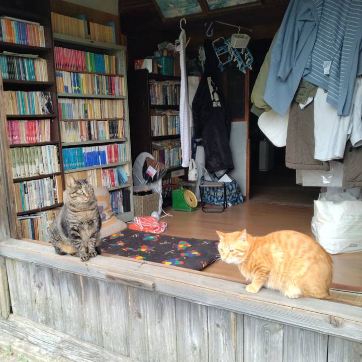 18f4bb42 1f8f 4eaa 8172 5dc31fe551e1 1663732132650